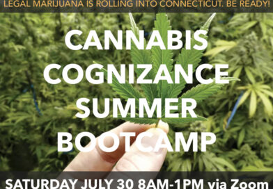 Cannabis Cognizance Summer Bootcamp