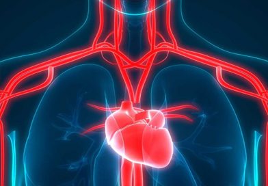 Fall CE Series #3: Cardiovascular Considerations