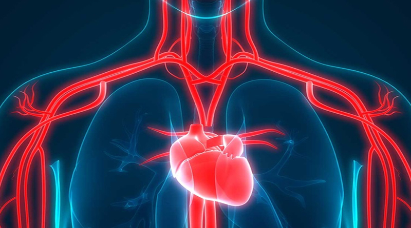 Fall CE Series #3: Cardiovascular Considerations